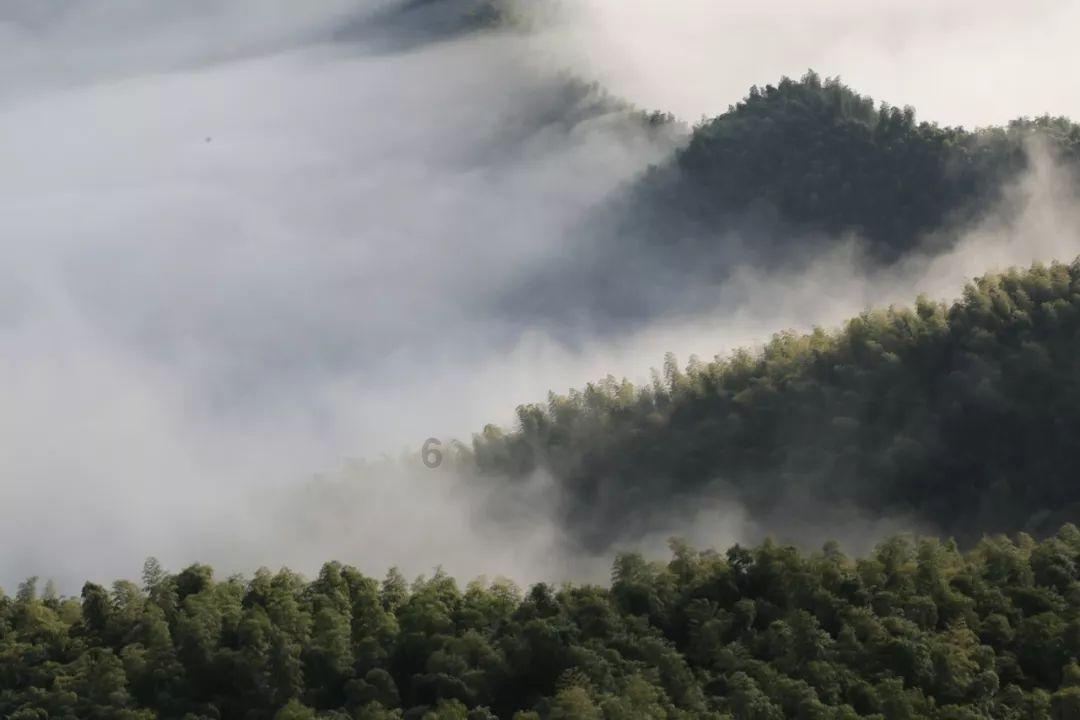 【苹果】备货进入高峰期 终端市场有待启动